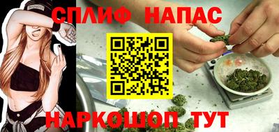 МДПВ Ливны