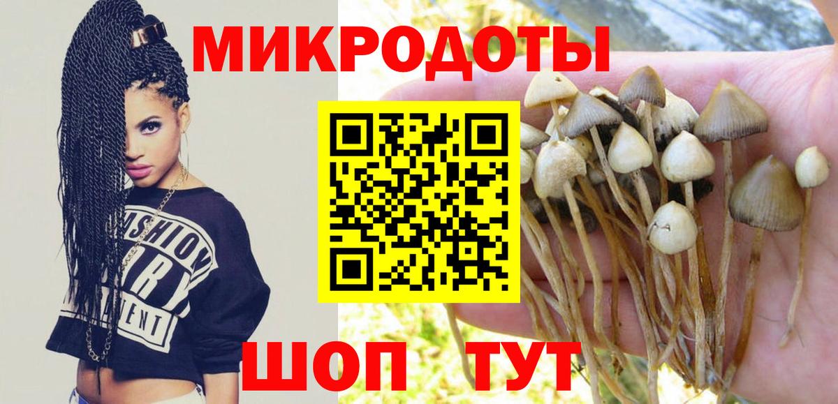 Галлюциногенные грибы Psilocybine cubensis Воскресенск